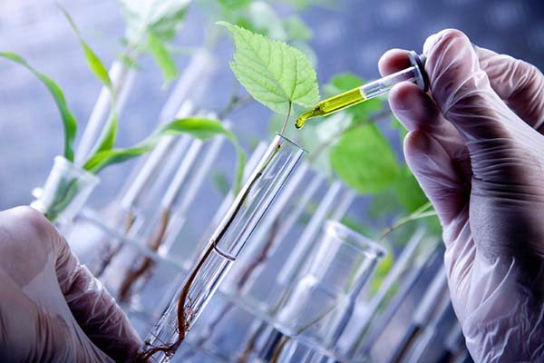 Нанотехнологии в защите растений правда или вымысел