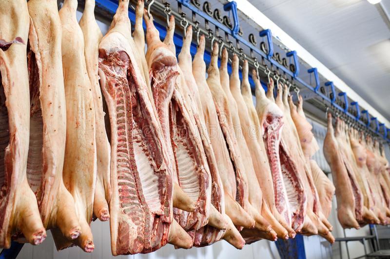 Китай достал из запасов 20 тыс. тонн замороженной свинины для внутреннего рынка