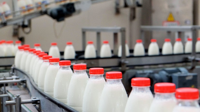 Краснодарский край: производство молока за пять лет увеличилось на 150 тысяч тонн
