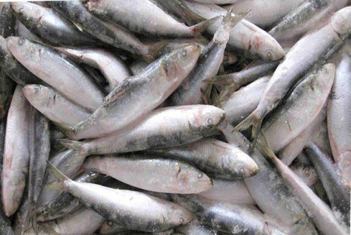 Минсельхоз отмечает снижение цен на основные виды рыб за неделю
