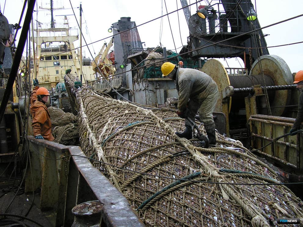 Мурманская область: Вылов рыбы в Северном бассейне вырос до 89,68 тысяч тонн