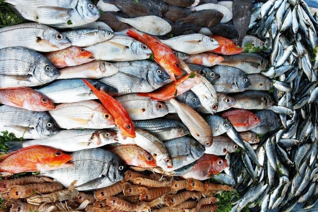Россия продлила запрет на ввоз рыб и рептилий из Китая