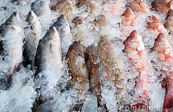 Рыба может подорожать в России из-за падения рубля