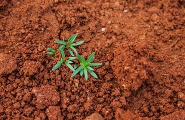 Сколько CO2 может удержать в себе почва: вред сельского хозяйства
