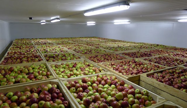 В Северной Осетии открылось фруктохранилище на 2,5 тыс. тонн