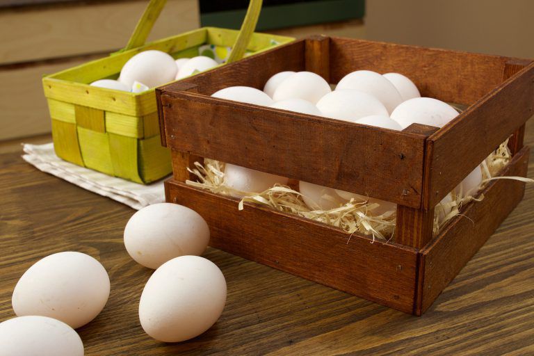 Хранение пищевых яиц