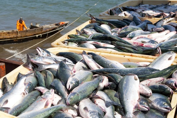 Из-за коронавируса Вьетнам сократил экспорт морепродуктов на 11%