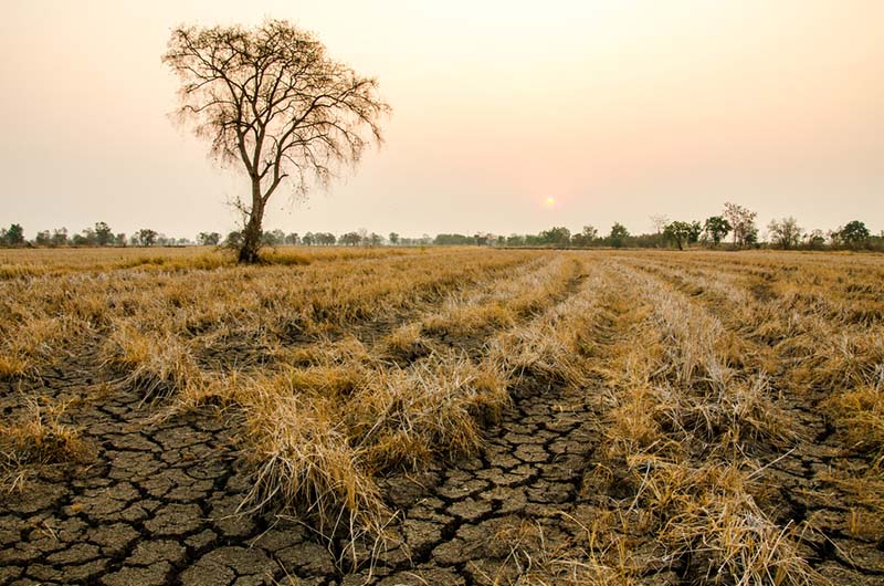 Изменение климата приведет к увеличению районов с постоянной засухой