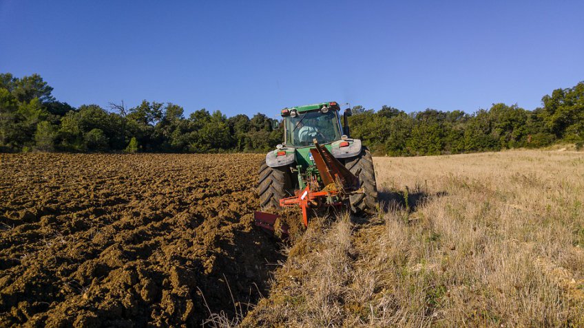 Эксперты заявили о росте интереса россиян к работе в сельском хозяйстве