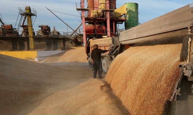 Квота на экспорт зерна из России выбрана в полном объеме