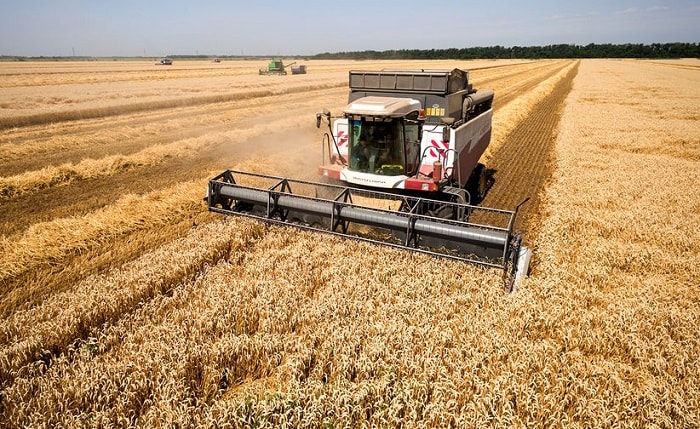 Минсельхоз РФ не намерен отказываться от квоты на экспорт зерна
