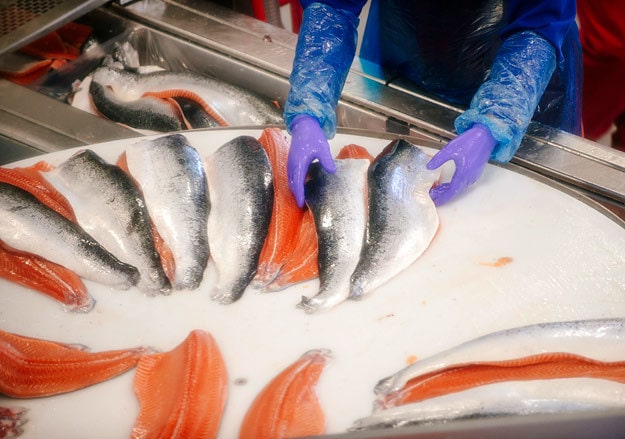 Норвежская индустрия морепродуктов адаптировалась к коронавирусу
