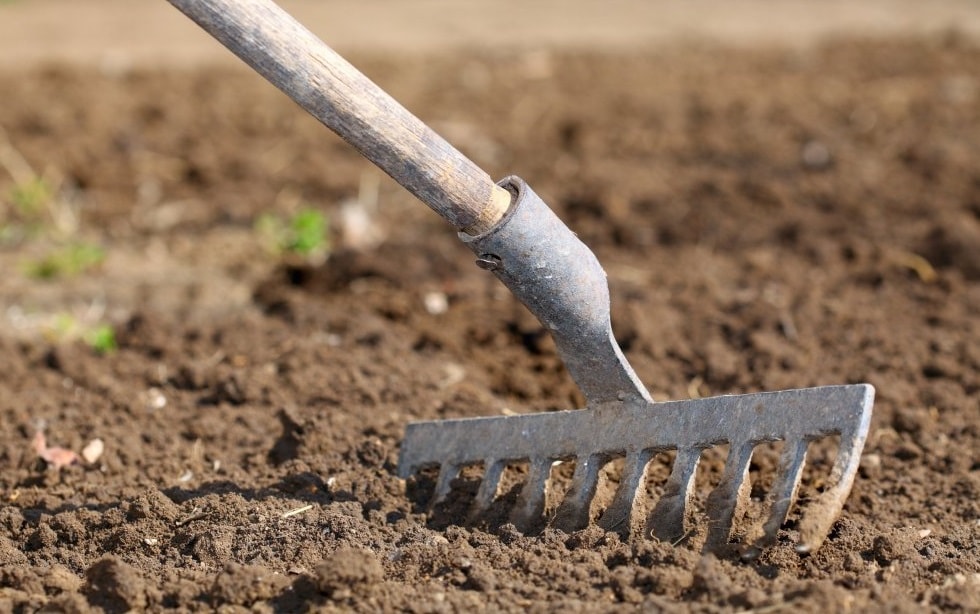 Подготовка почвы для посева и рассады