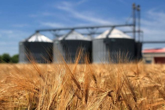 Россия приостанавливает экспорт зерновых до 1 июля