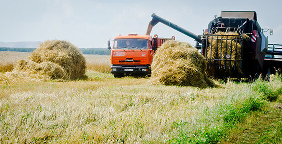 «Росгосстрах» обеспечил страховой защитой крупный агрохолдинг Кубани