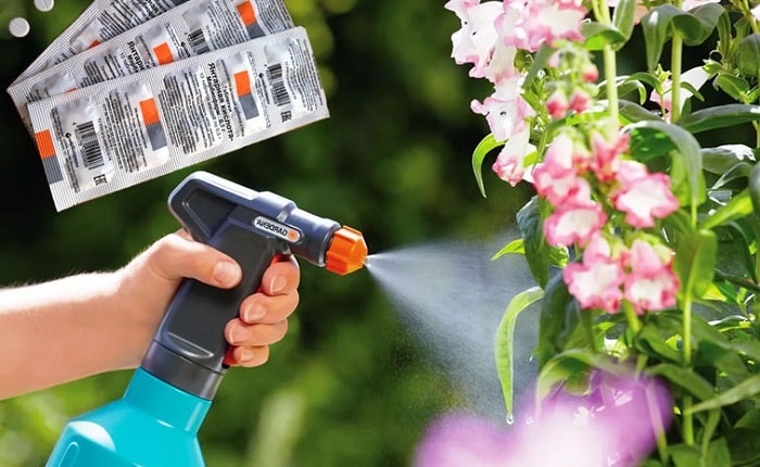 Янтарная кислота: полив комнатных цветов для удобрения почвы