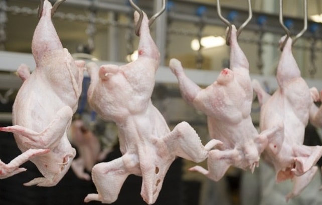 Пензенская область лидирует в Поволжье по производству мяса птицы