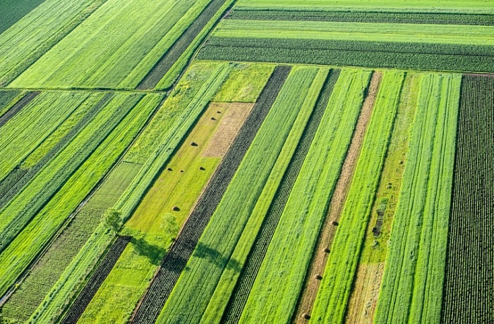 Существующие сельхозугодья могут прокормить еще 800 млн человек