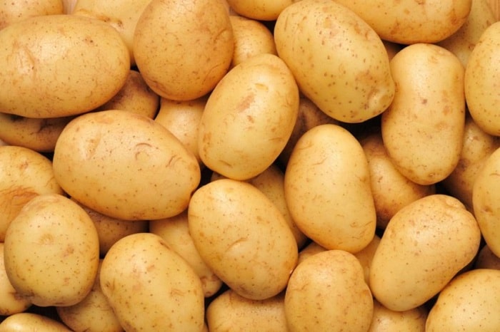 В Приморье высадят десятки тонн элитного картофеля из Германии