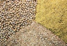 Импорт соевого шрота с ГМО снизит рост цен других ингредиентов кормов