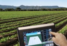 Россельхозбанк оценил готовность российских регионов к внедрению цифровых технологий в сельское хозяйство