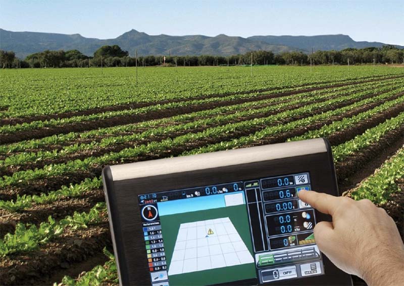 Россельхозбанк оценил готовность российских регионов к внедрению цифровых технологий в сельское хозяйство