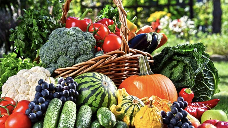 Ученые предлагают маркировать овощи и фрукты специальными бактериями