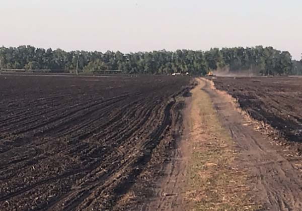 Власти Омска изъяли у фермера поле которое никому не нужно