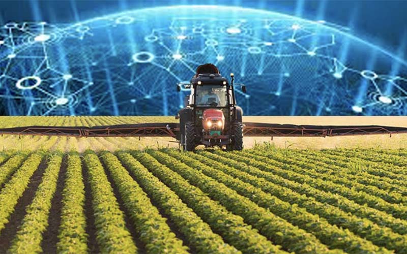IT-технологии все больше покоряют отечественное сельское хозяйство