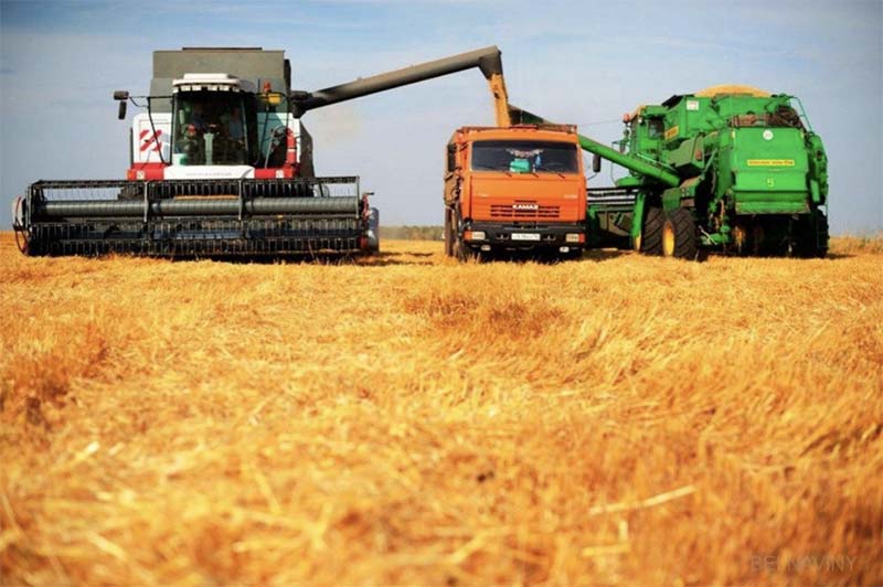 Экспорт зерна будет квотироваться в России на постоянной основе