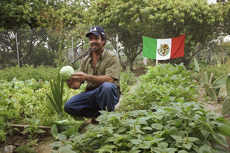 В Мексике отчитались о достижениях в сельском хозяйстве