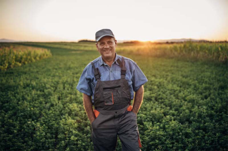 Что такое крестьянское фермерское хозяйство в россии как бизнес