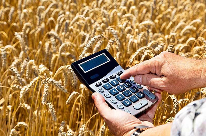Книга доходов и расходов крестьянского (фермерского) хозяйства