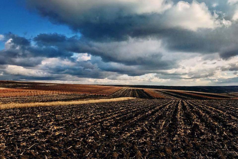 Сотни тысяч гектаров пашни в центральных и северо-западных районах Оренбургской области пришли в негодность 1