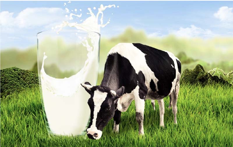 Власти Якутии планируют повысить закупочную цену молока для сельхозпроизводителей