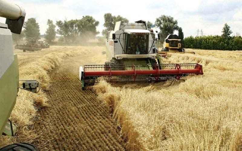 Внезапный рост урожайности зерна в РФ удивил экспертов