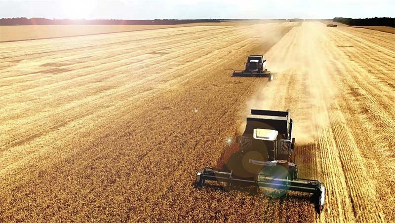Цены на российскую пшеницу выросли благодаря спросу крупного покупателя