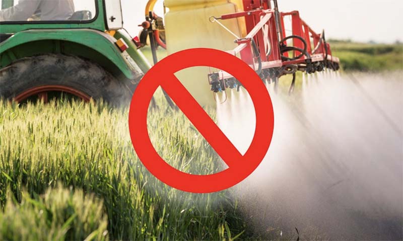 Европейские агрохимические концерны массово экспортируют запрещенные пестициды