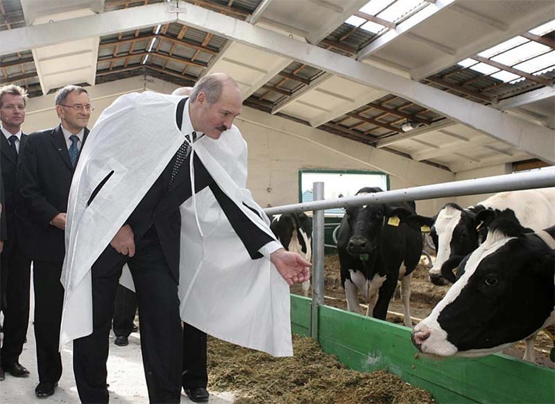 Холдинг Лукашенко является лидером среди крупнейших производителей молока Беларуси и России