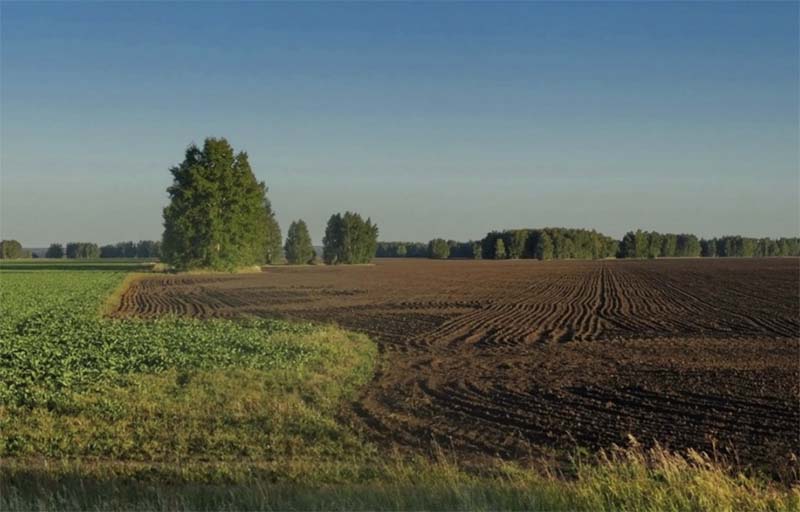 Миллионы гектаров новых земель планируют ввести в оборот в России