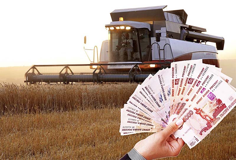 Министр сельского хозяйства России озвучил среднюю зарплату аграриев