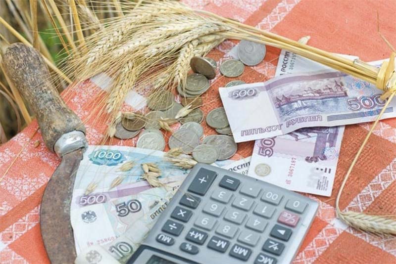 Минсельхоз РФ одобрил заявки ставропольских аграриев на льготные кредиты