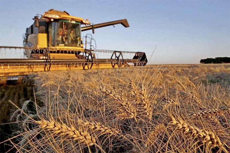 Недобор урожая на юге России будет скомпенсирован