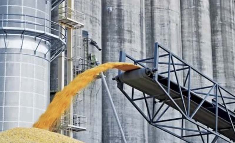 В Ставропольском крае откроют завод безотходной переработки пшеницы