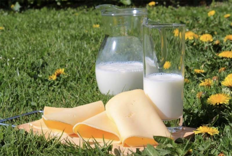 Бойкотирование Россией европейского молока снизило ее зависимость от импорта молочной продукции