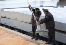 На границе задержали экспортную пшеницу