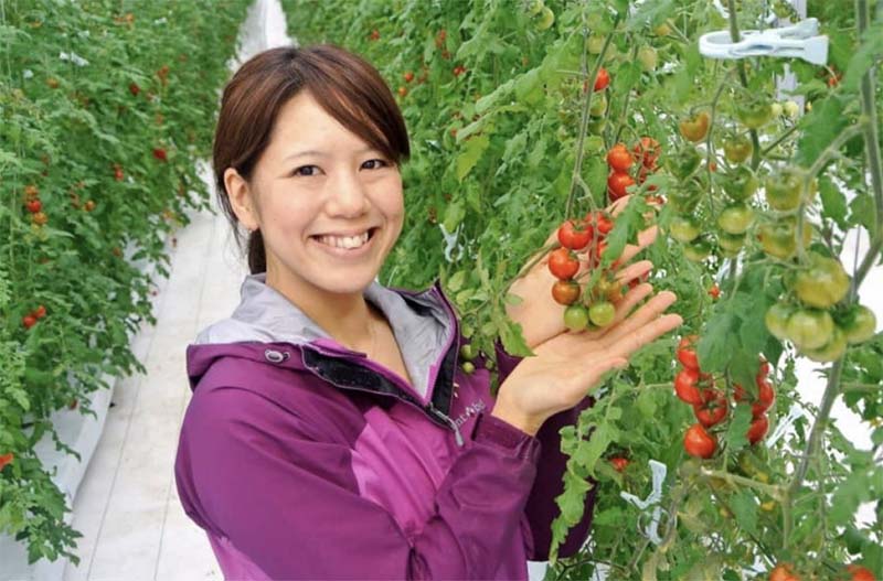 Новая технология выращивания томатов с помощью гидрогеля
