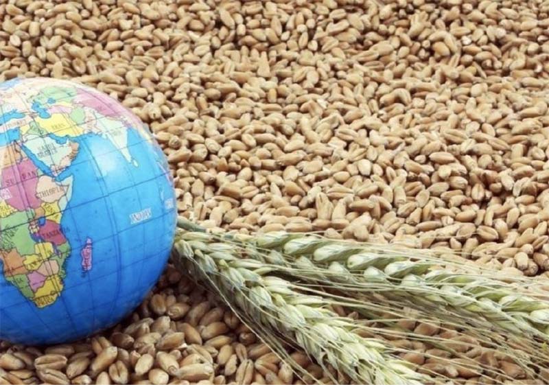 Россия повлияла на обвал мировых цен на пшеницу