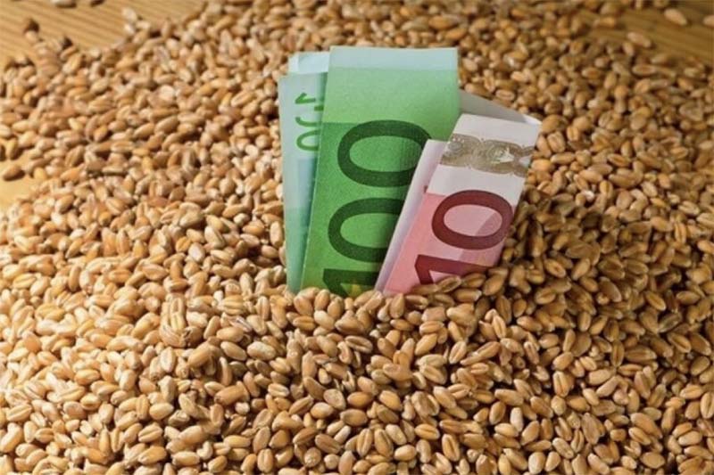Российские производители зерна могут потерять 10–15% выручки из-за введения пошлин и квот на экспорт