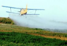 Полномочия за оборотом пестицидов и агрохимикатов возвращаются Россельхознадзору
